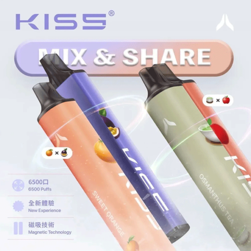 KISS一次性電子煙 6500口 kiss5 鎧斯5號拋棄式二合一磁吸款：圖片 3